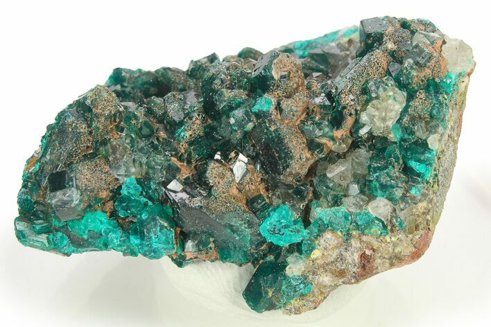 Lustrous Dioptase Crystal Cluster - Republic of the Congo #272942